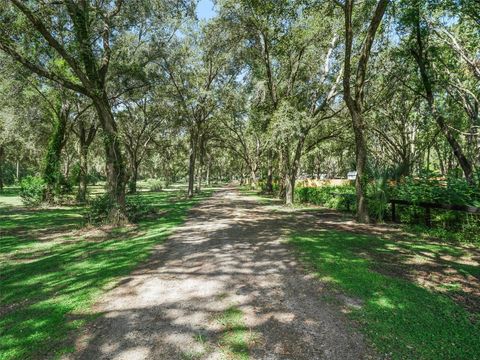 Tiny photo for 17244 SE 130th Avenue, Weirsdale, FL 32195 (MLS # OM710804)