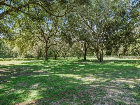 Tiny photo for 17244 SE 130th Avenue, Weirsdale, FL 32195 (MLS # OM710804)