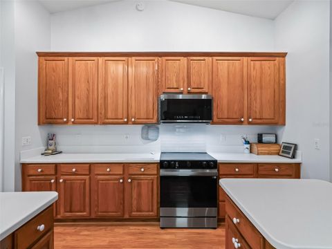 Tiny photo for 17244 SE 130th Avenue, Weirsdale, FL 32195 (MLS # OM710804)