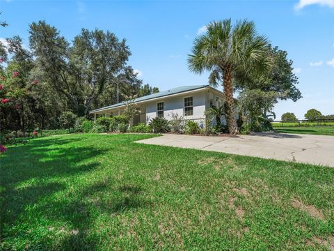 Tiny photo for 17244 SE 130th Avenue, Weirsdale, FL 32195 (MLS # OM710804)