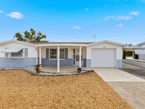 5032 PICTURE AVENUE HOLIDAY FL 34690