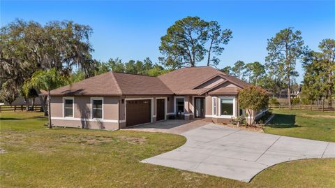 Photo of 21328 Marsh View Court, Clermont, FL 34715 (MLS # G5111667)