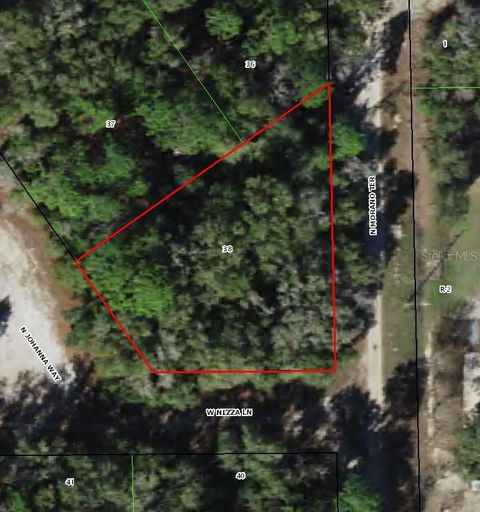 Photo of 8123 W Nizza Lane, Crystal River, FL 34428 (MLS # TB8497737)