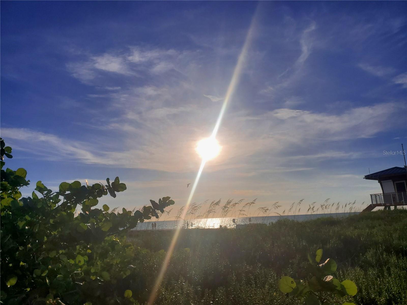 EDGEWATER WALK ON HARBOUR ISLE 5-36 - Residential