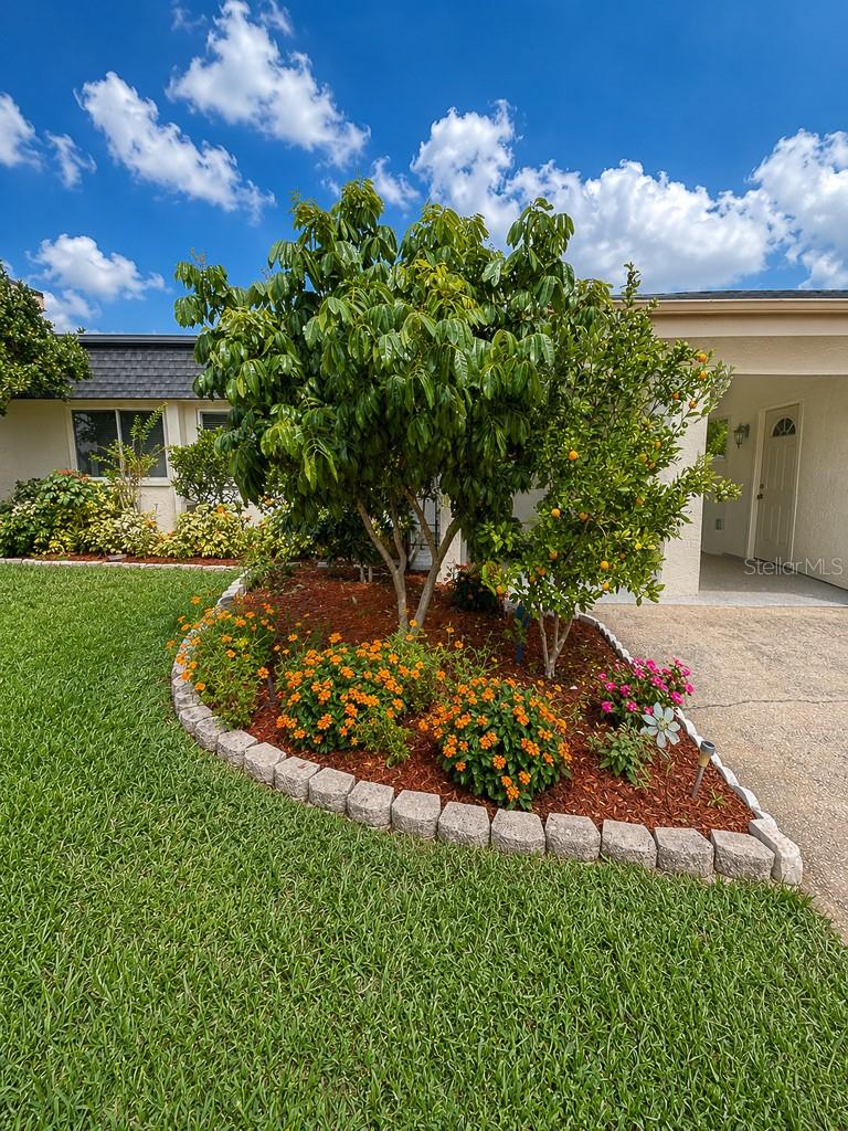 WINDING WOOD CONDO - Residential