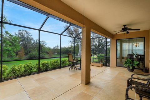 A home in APOLLO BEACH