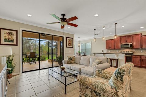 A home in APOLLO BEACH