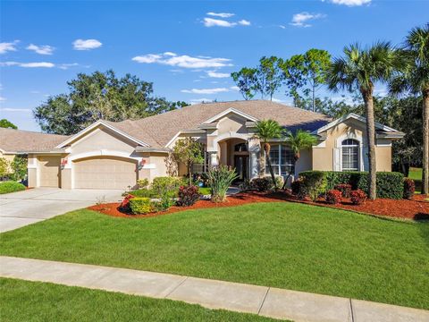 3988 MIMOSA PLACE PALM HARBOR FL 34685