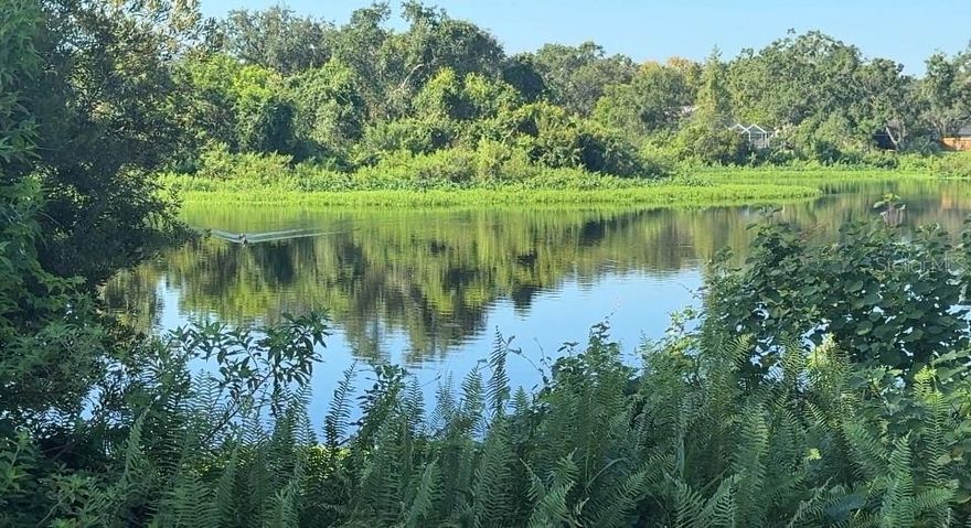 Lakefront property offering serene water views with beautiful outdoor living space Nestled in a beautiful residential neighborhood.
Excellent builder opportunity — create a custom home or consider multi-structure options (please verify zoning)
Conveniently located near Brandon Town Center, Costco, Home Depot, Publix, and local shopping plazas
Quick access to I-75, I-4, and the Selmon Expressway for easy commutes throughout Tampa Bay
Minutes from Downtown Tampa, Ybor City, and Tampa International Airport
Strong community amenities — excellent schools, nearby parks, hospitals, restaurants, and entertainment venues