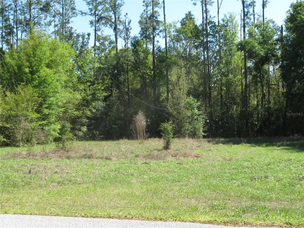 Photo of San Antonio, FL 33576 (MLS # TB8489518)