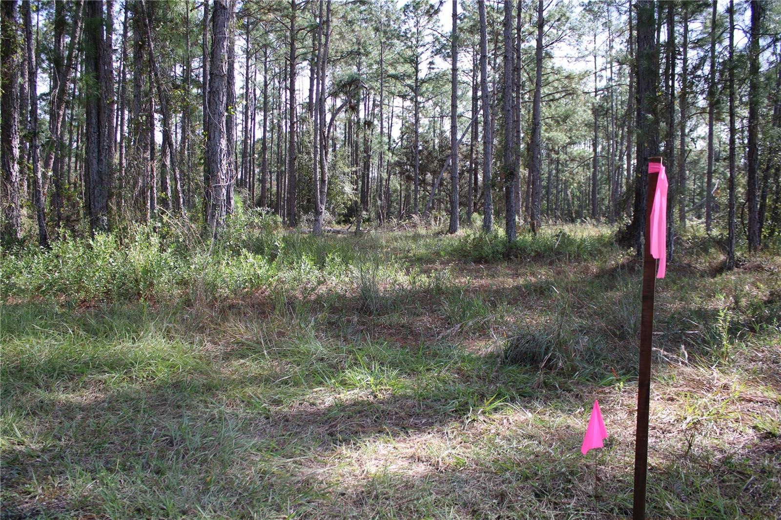 GROVELAND FARMS - Land