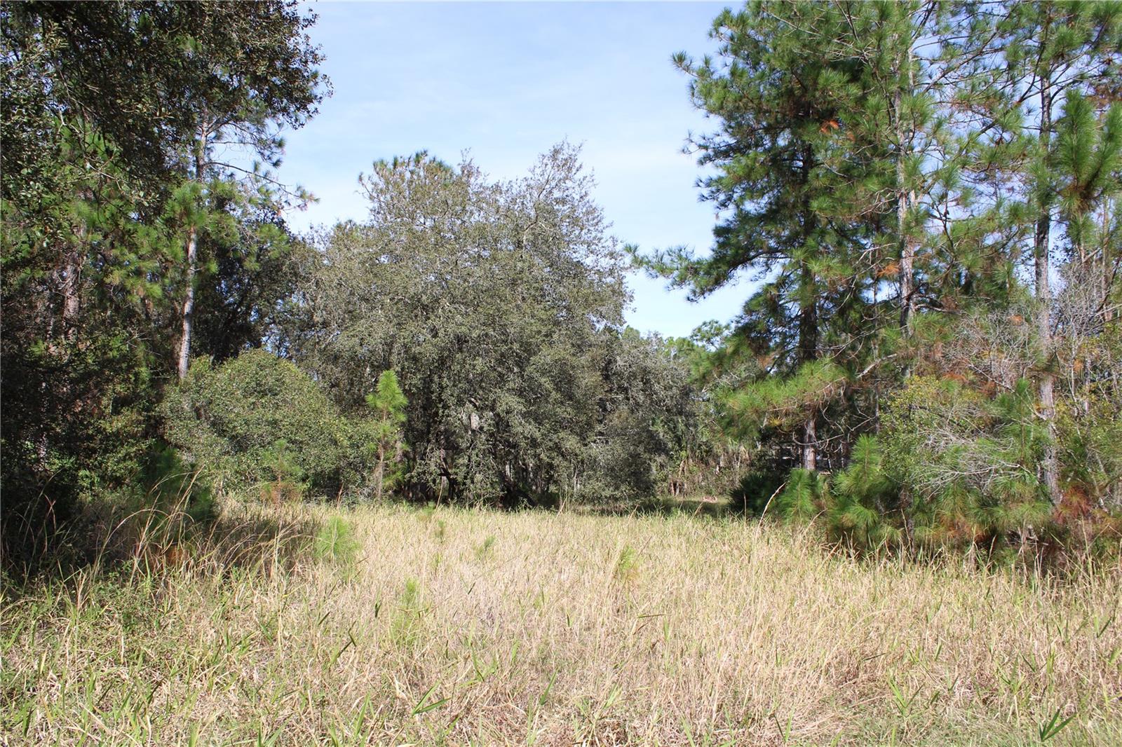 GROVELAND FARMS - Land