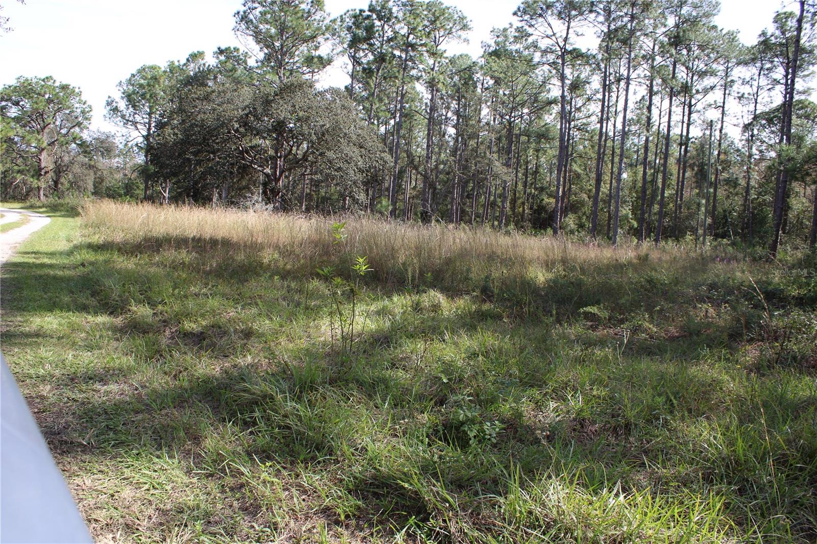 GROVELAND FARMS - Land