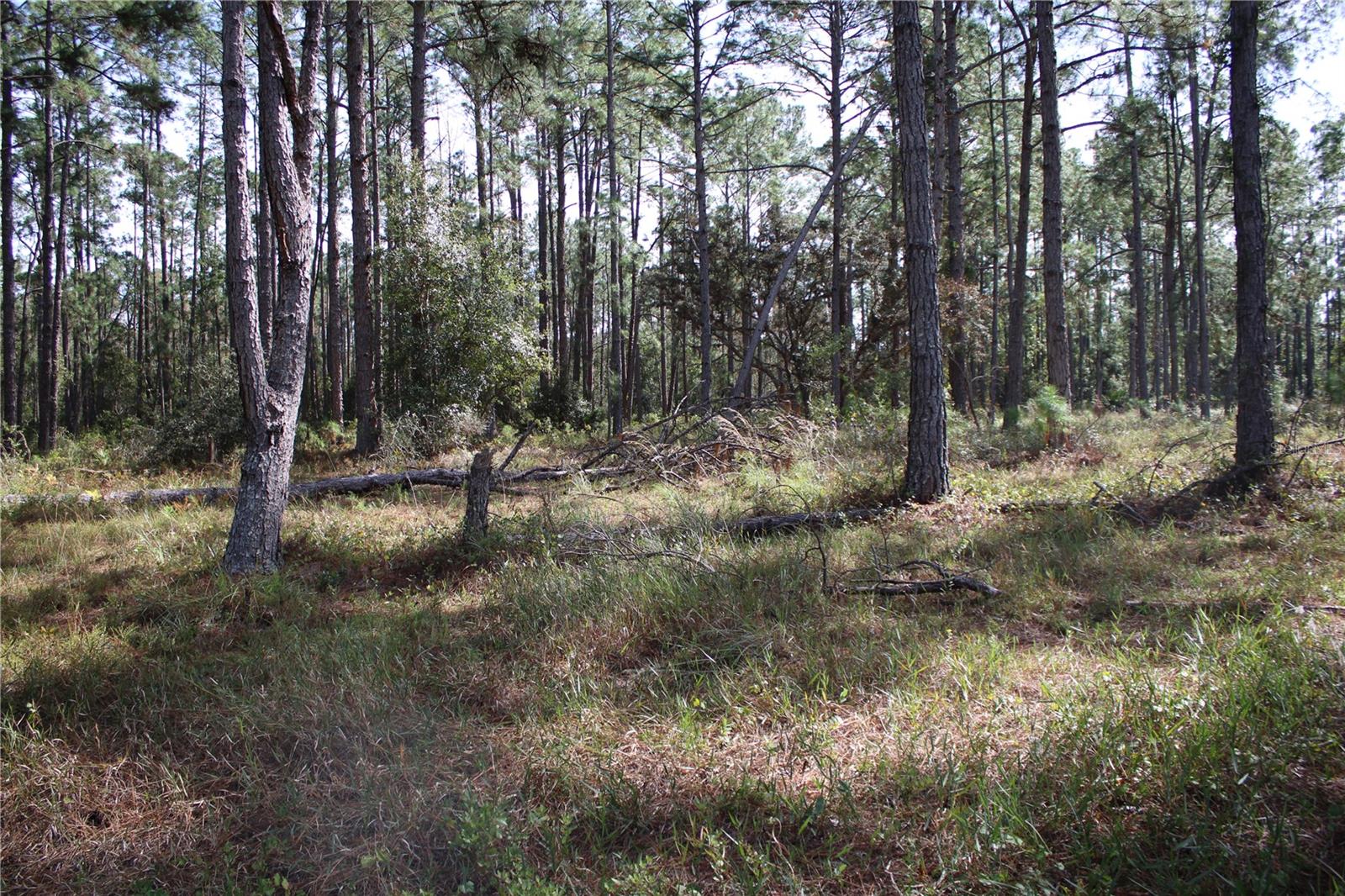 GROVELAND FARMS - Land