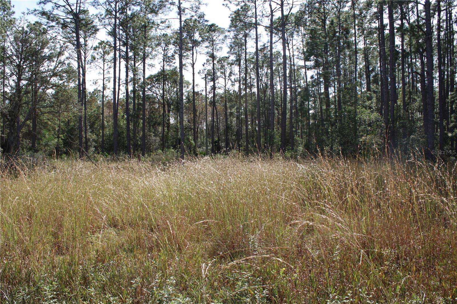 GROVELAND FARMS - Land