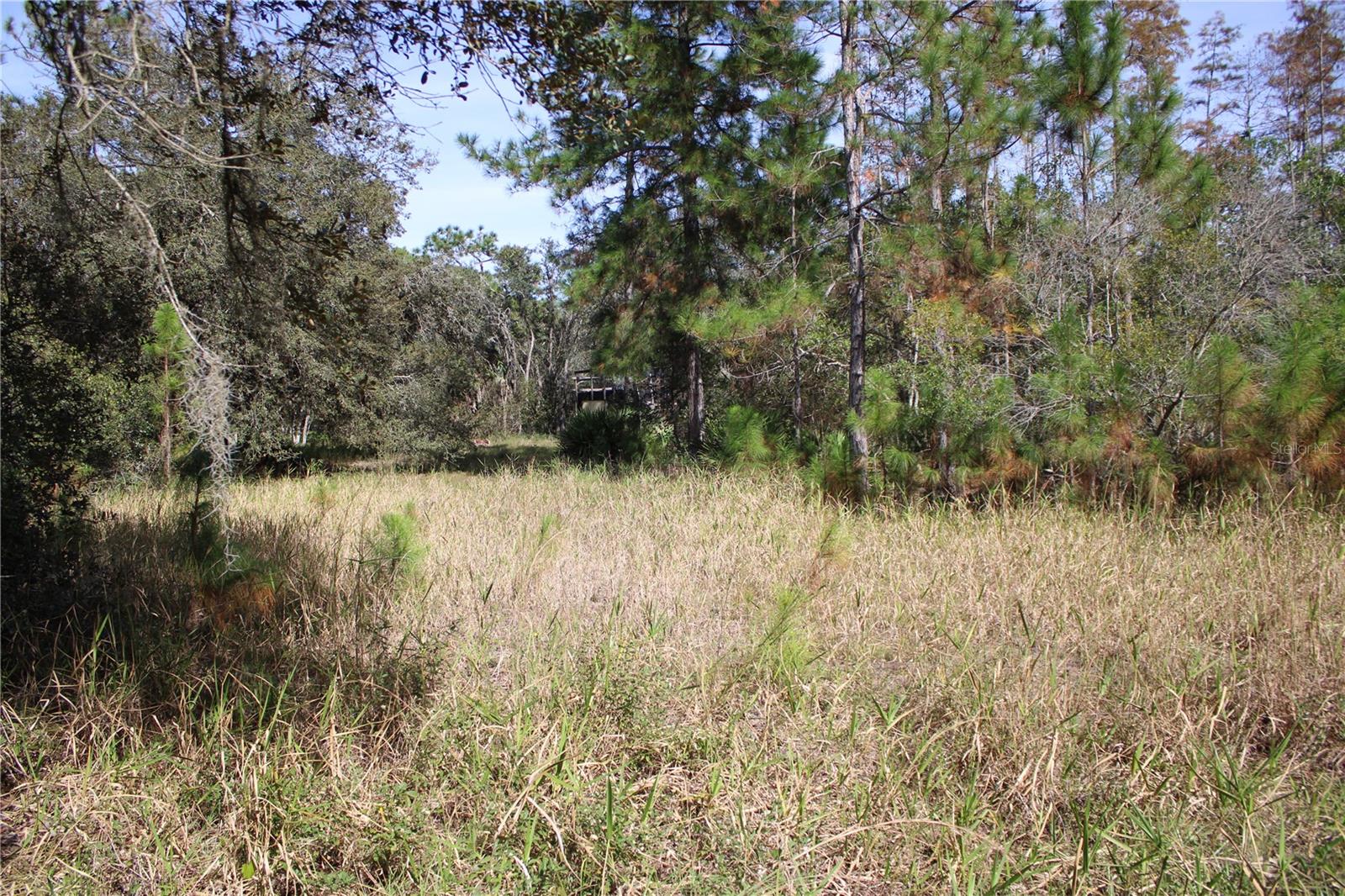 GROVELAND FARMS - Land