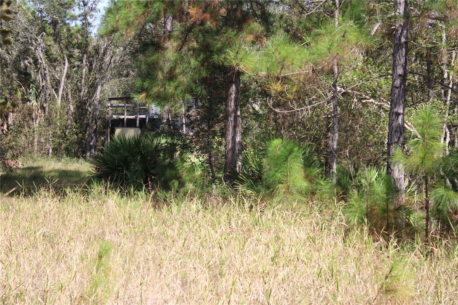 GROVELAND FARMS - Land