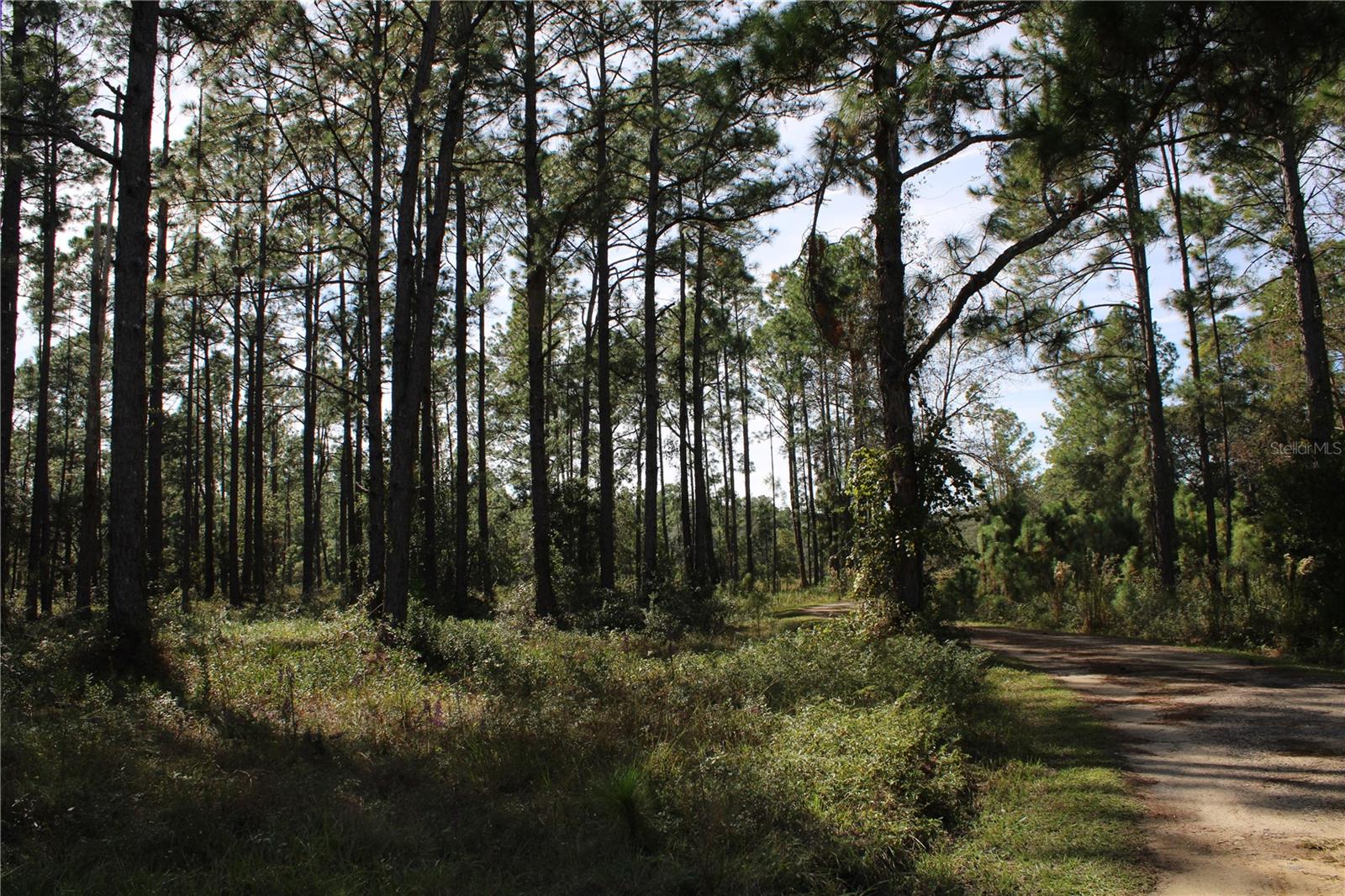 GROVELAND FARMS - Land