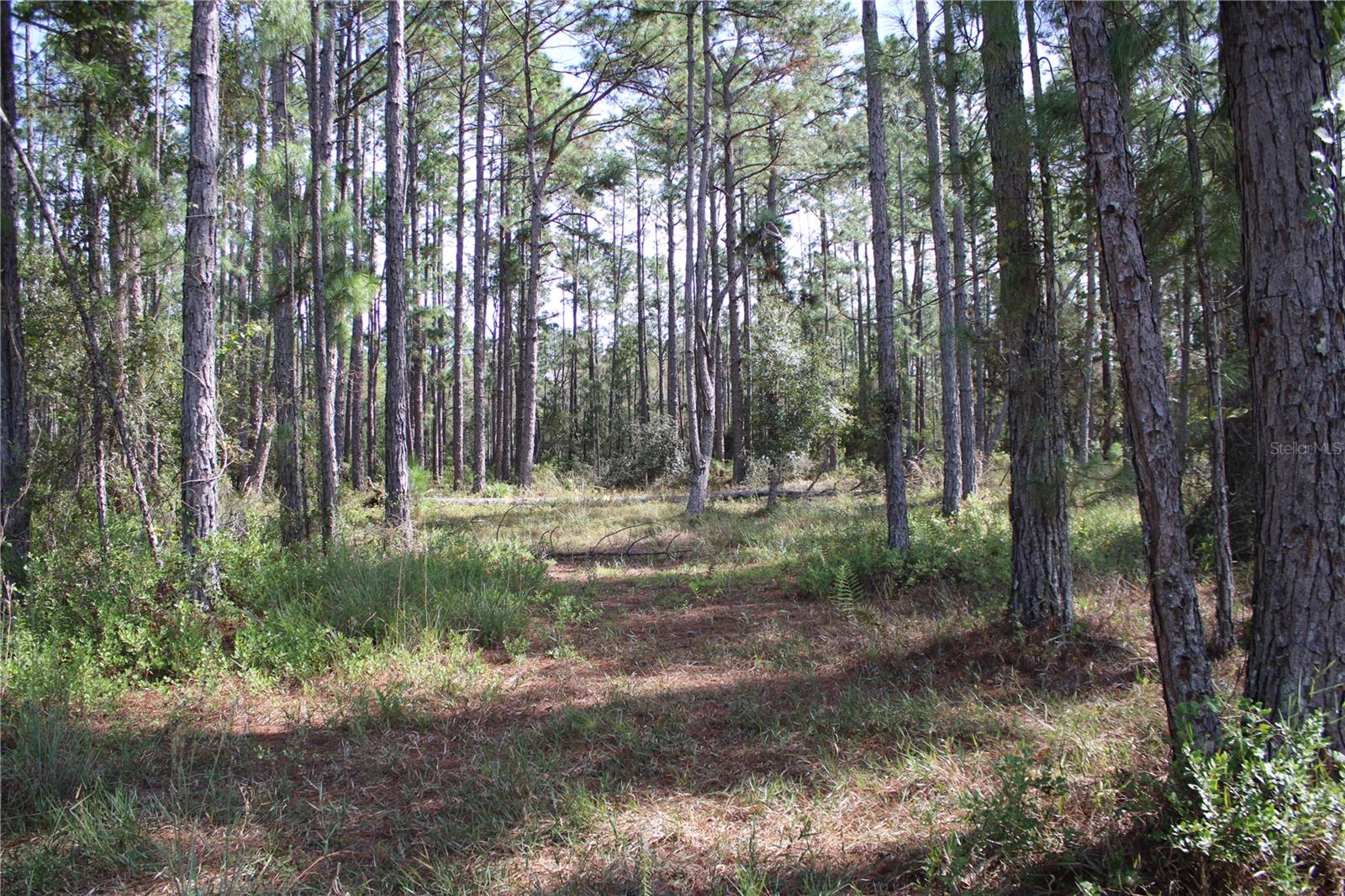 GROVELAND FARMS - Land