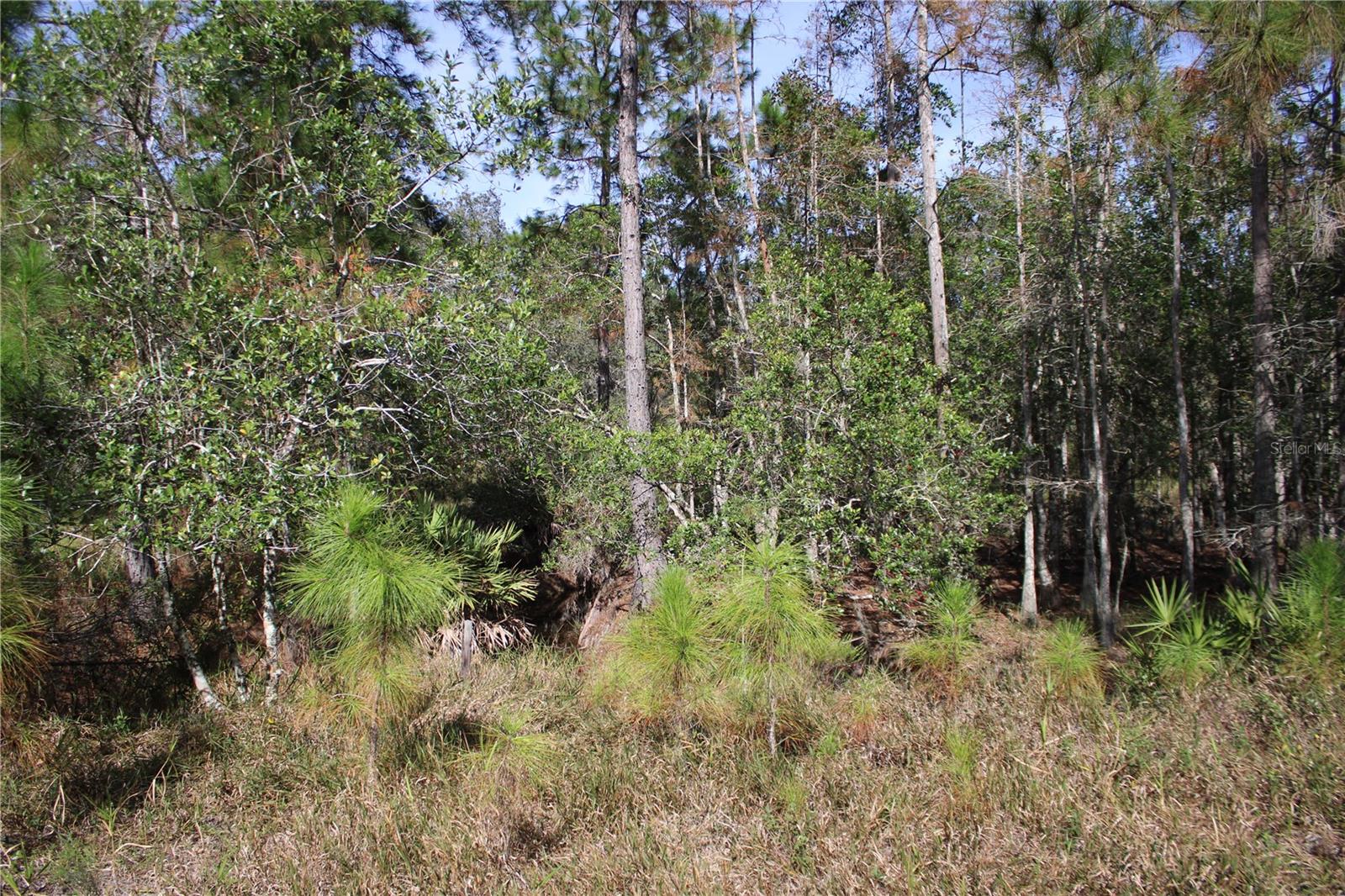 GROVELAND FARMS - Land