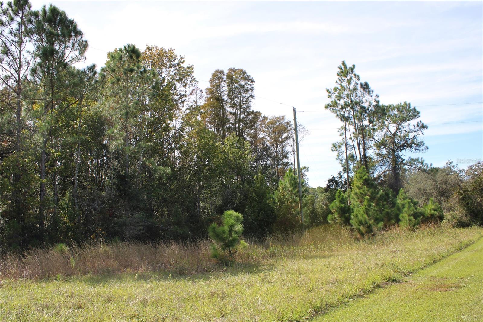 GROVELAND FARMS - Land