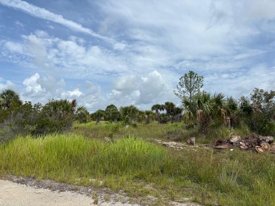 Investment property for future use on this 1/4 acre lot.  Utilities are currently not present; power lines are not far away!  It does not appear that the lot is buildable at the current time.  It is a recorded plat with some roads in, just no other infrastructure.