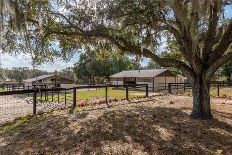 Tiny photo for 2902 Marion County Rd, Weirsdale, FL 32195 (MLS # OM715549)
