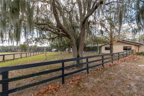 Tiny photo for 2902 Marion County Rd, Weirsdale, FL 32195 (MLS # OM715549)