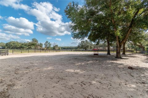 Tiny photo for 2902 Marion County Rd, Weirsdale, FL 32195 (MLS # OM715549)