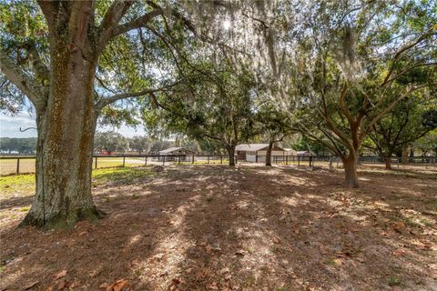 Tiny photo for 2902 Marion County Rd, Weirsdale, FL 32195 (MLS # OM715549)