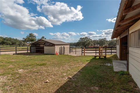 Tiny photo for 2902 Marion County Rd, Weirsdale, FL 32195 (MLS # OM715549)