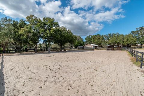 Tiny photo for 2902 Marion County Rd, Weirsdale, FL 32195 (MLS # OM715549)