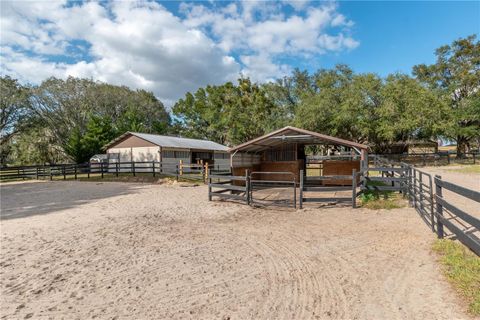 Tiny photo for 2902 Marion County Rd, Weirsdale, FL 32195 (MLS # OM715549)