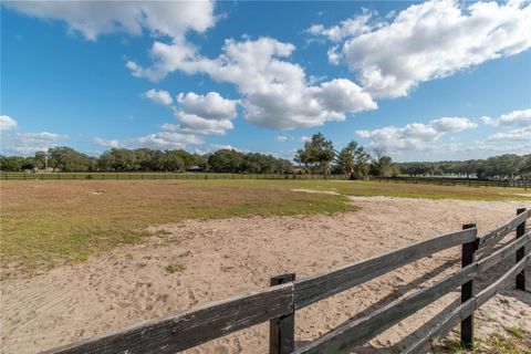 Tiny photo for 2902 Marion County Rd, Weirsdale, FL 32195 (MLS # OM715549)