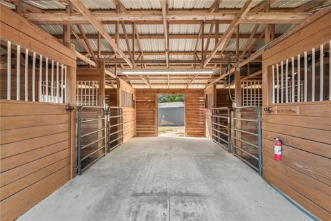 Tiny photo for 2902 Marion County Rd, Weirsdale, FL 32195 (MLS # OM715549)