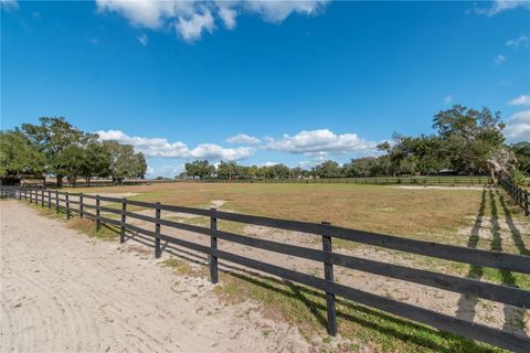 Tiny photo for 2902 Marion County Rd, Weirsdale, FL 32195 (MLS # OM715549)