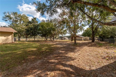 Tiny photo for 2902 Marion County Rd, Weirsdale, FL 32195 (MLS # OM715549)