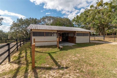 Tiny photo for 2902 Marion County Rd, Weirsdale, FL 32195 (MLS # OM715549)
