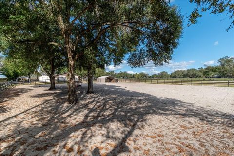 Tiny photo for 2902 Marion County Rd, Weirsdale, FL 32195 (MLS # OM715549)