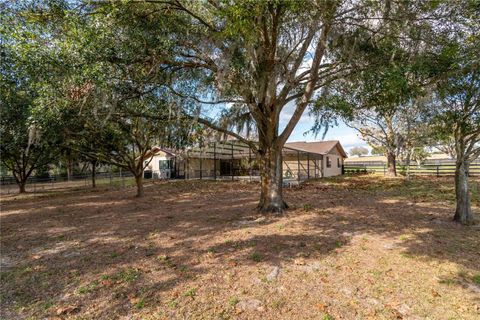 Tiny photo for 2902 Marion County Rd, Weirsdale, FL 32195 (MLS # OM715549)