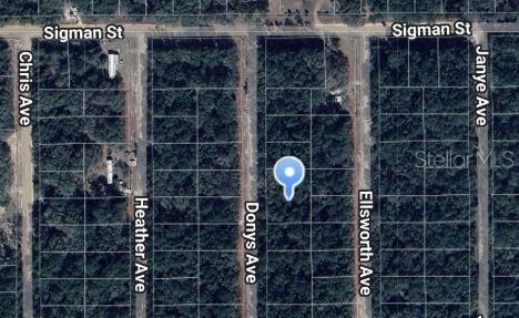 North side of Interlachen close to big Lake Grandin. Double lot making it a Great potential for building or long-term investment. The area features dirt roads and power lines nearby, offering a rural, secluded setting. Located less than an hour from Ocala, this property is ideal for those seeking country living with a small-town atmosphere. Convenience stores, local shops, and essential amenities are just a short drive away. Outdoor enthusiasts will appreciate the proximity to lakes for fishing and trails for riding. Price is firm. Owner financing is available. Buyer is responsible for their own due diligence.