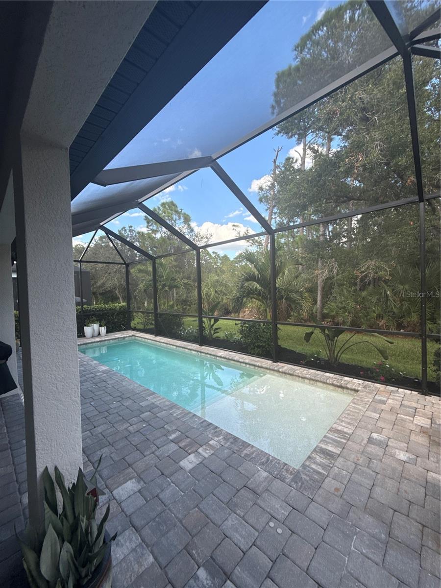 CEDAR GROVE TR C-1 PH 2A - Residential