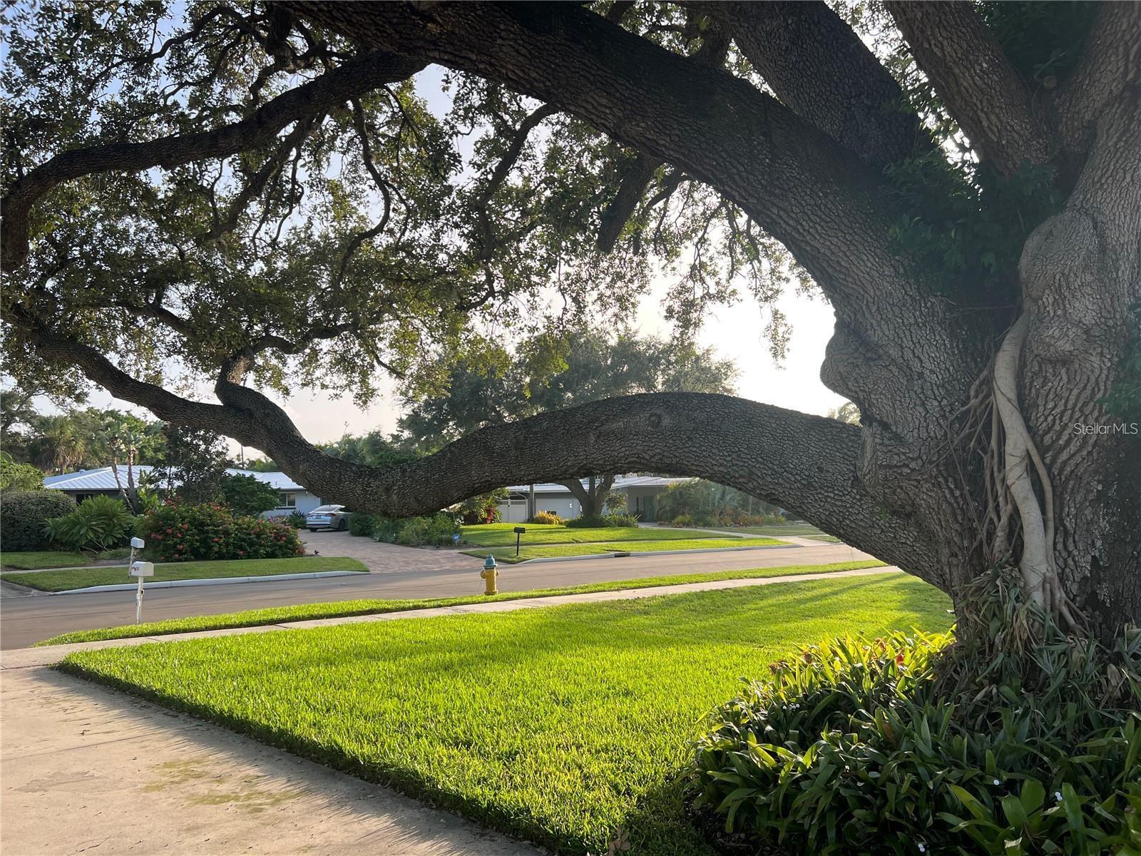 BALLENTINE MANOR ESTATES - Residential Lease
