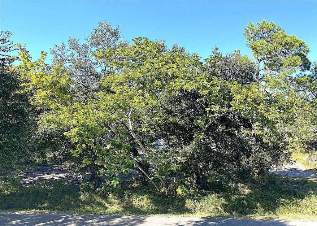 Photo of 6808 New York Drive, Tampa, FL 33619 (MLS # TB8449053)