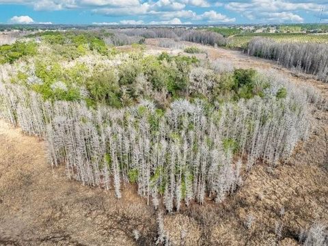 Tiny photo for 11535 Mattioda Road, Groveland, FL 34736 (MLS # OM720967)