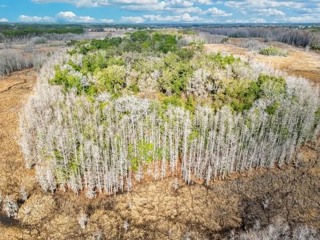 ACREAGE & UNREC - Residential