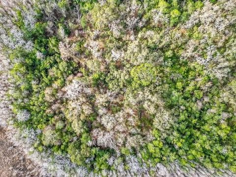Tiny photo for 11535 Mattioda Road, Groveland, FL 34736 (MLS # OM720967)