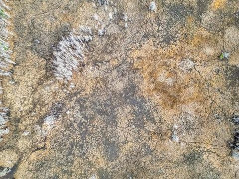 Tiny photo for 11535 Mattioda Road, Groveland, FL 34736 (MLS # OM720967)