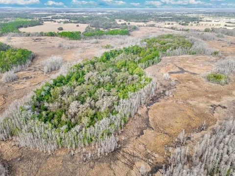 Tiny photo for 11535 Mattioda Road, Groveland, FL 34736 (MLS # OM720967)