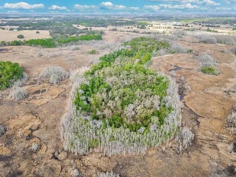 Tiny photo for 11535 Mattioda Road, Groveland, FL 34736 (MLS # OM720967)